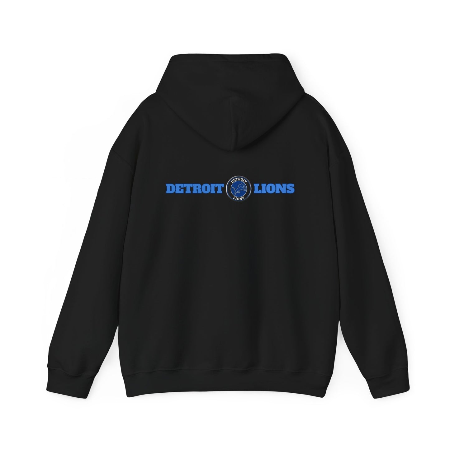 Detroit Lions Fan Art Hoodie Pullover, Football Team Sweatshirt, Lions Apparel