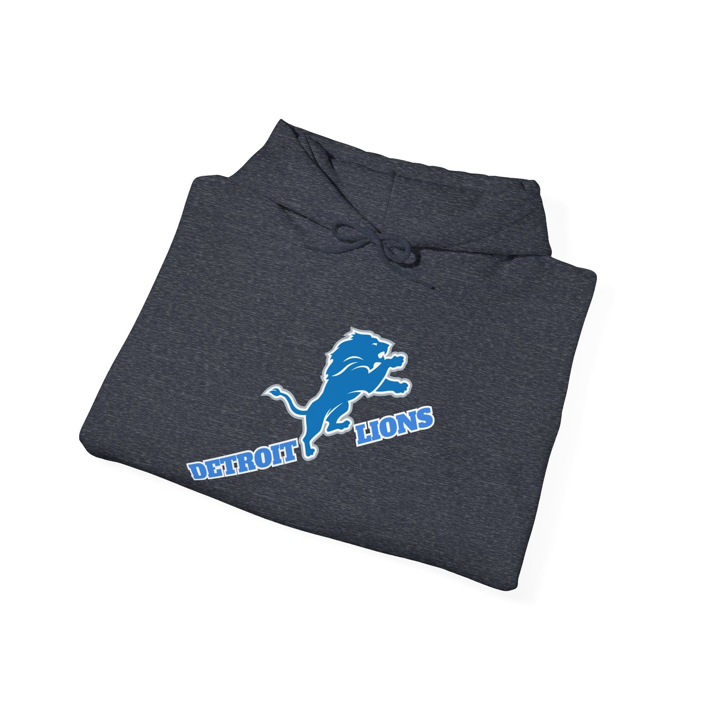 Detroit Lions Fan Hoodie Sweatshirt, NFL Team Apparel, Lions Football Gift,