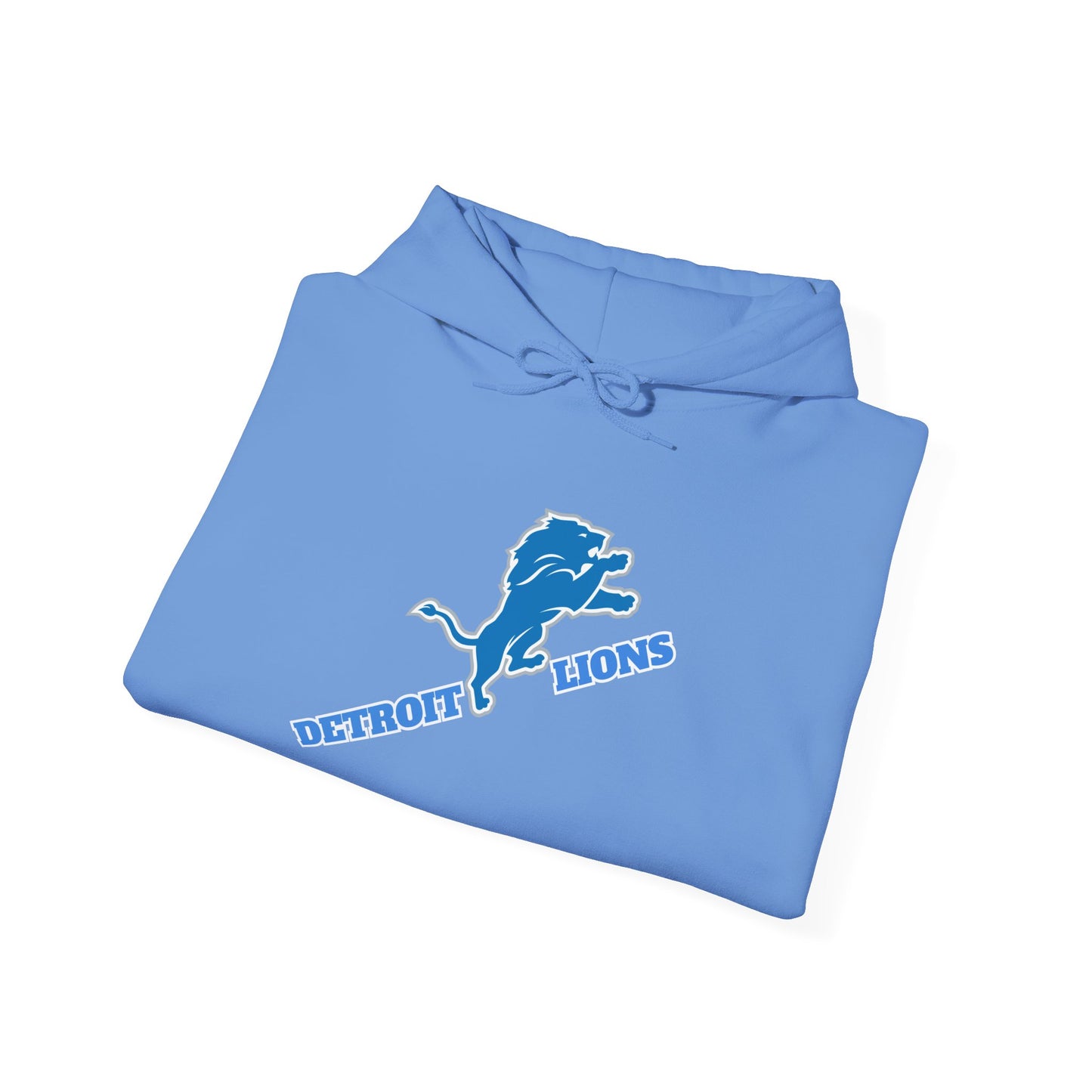 Detroit Lions Fan Hoodie Sweatshirt, NFL Team Apparel, Lions Football Gift,