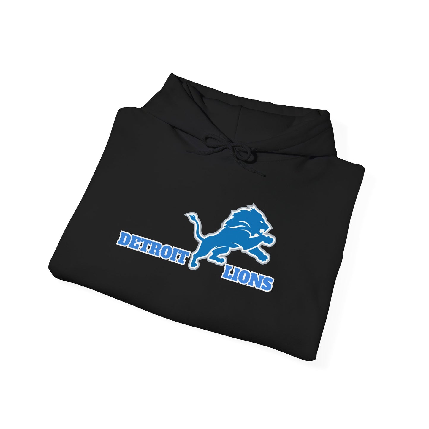 Detroit Lions Fan Art Hoodie Pullover, Football Team Sweatshirt, Lions Apparel