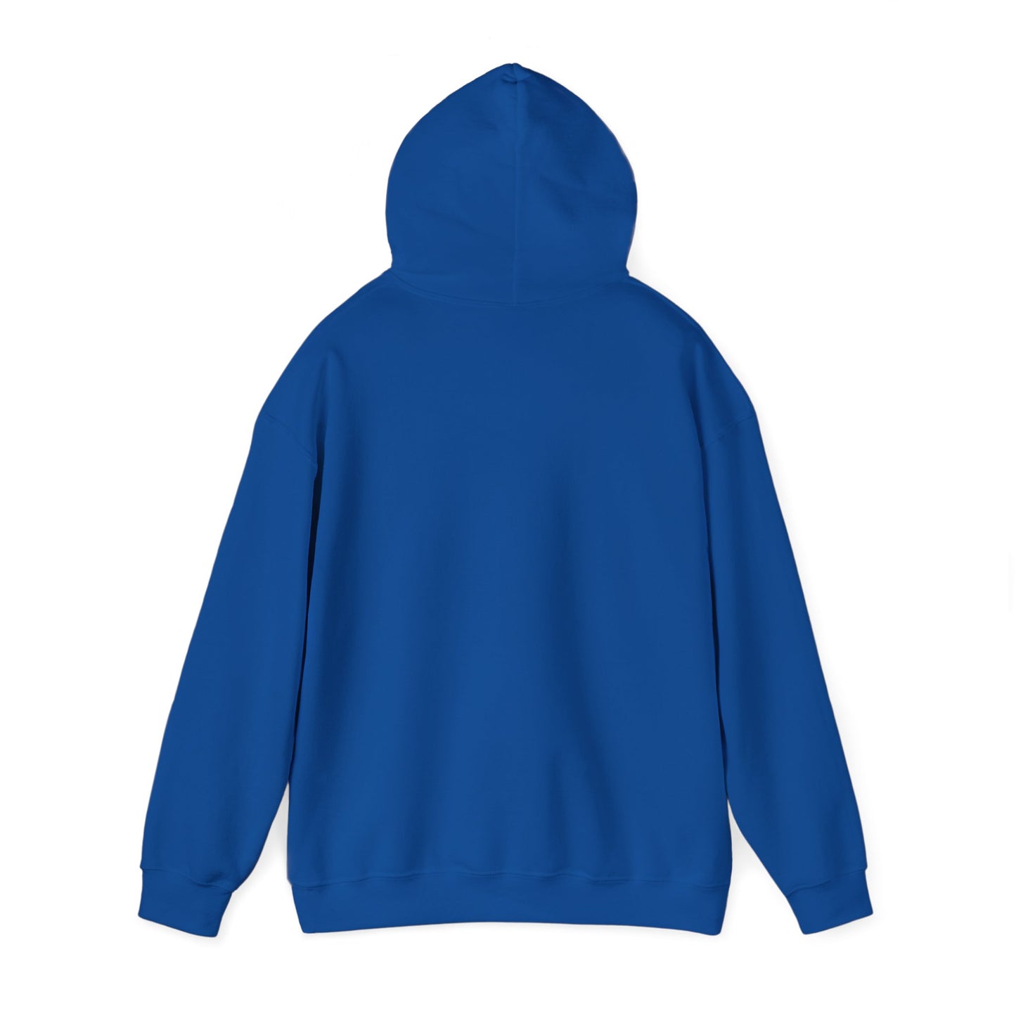 Detroit Lions Fan Hoodie Sweatshirt, NFL Team Apparel, Lions Football Gift,