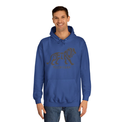 Detroit Lions Vintage Logo NFL Unisex College Hoodie 2 prints