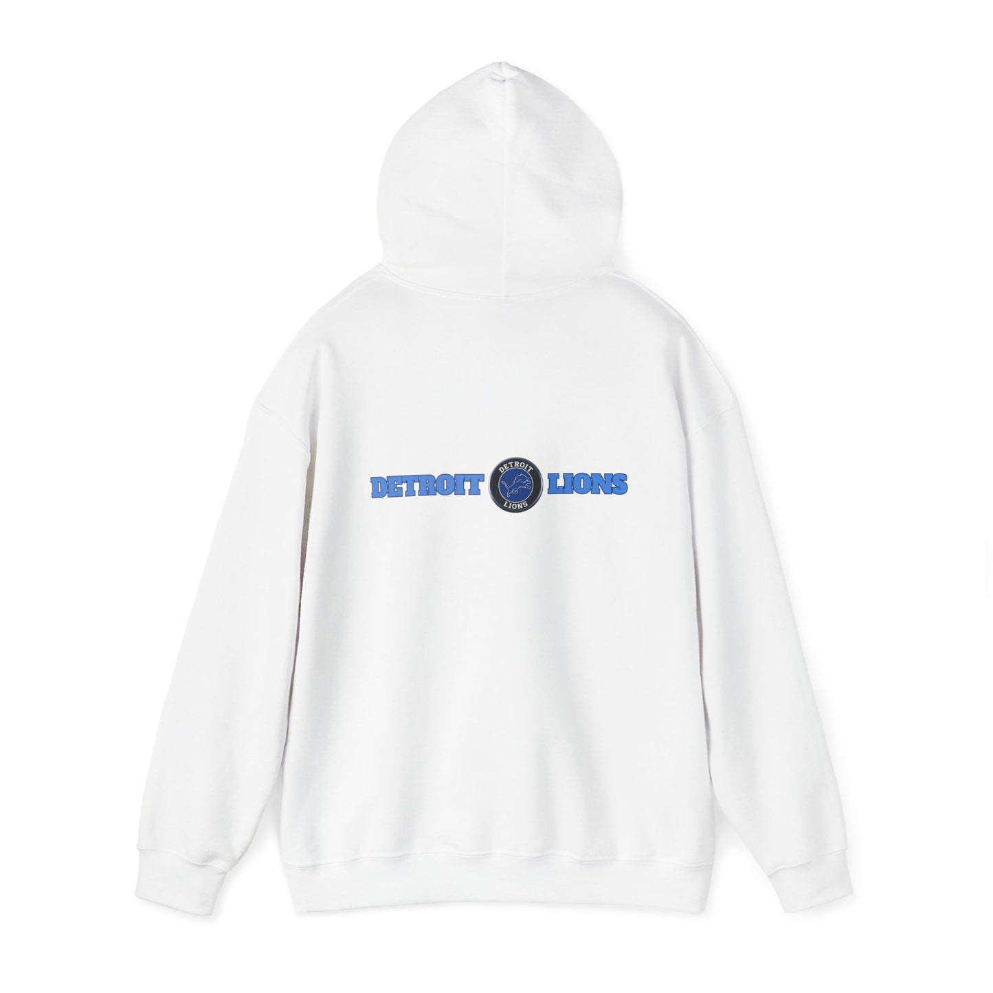 Detroit Lions Fan Art Hoodie Pullover, Football Team Sweatshirt, Lions Apparel