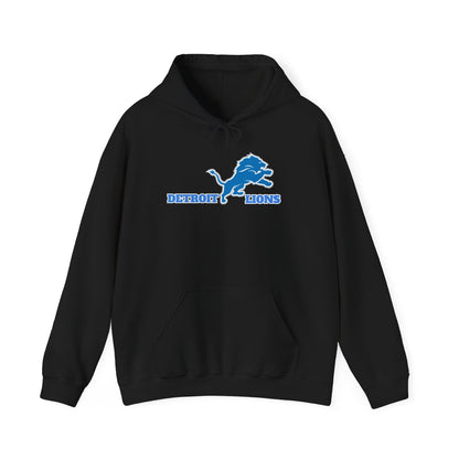 Detroit Lions Fan Art Hoodie Pullover, Football Team Sweatshirt, Lions Apparel