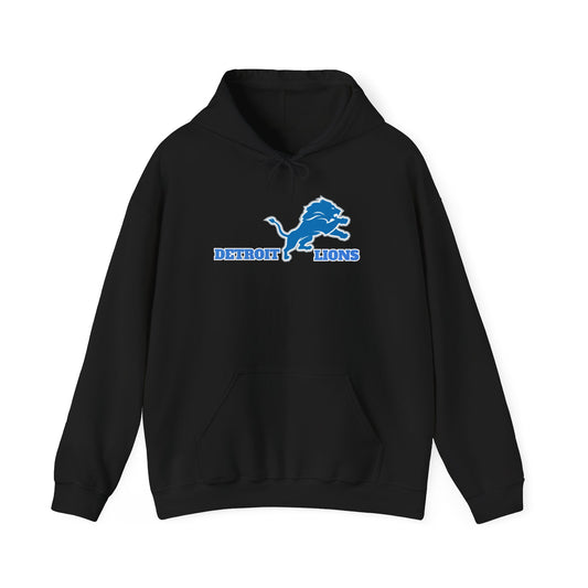 Detroit Lions Fan Art Hoodie Pullover, Football Team Sweatshirt, Lions Apparel