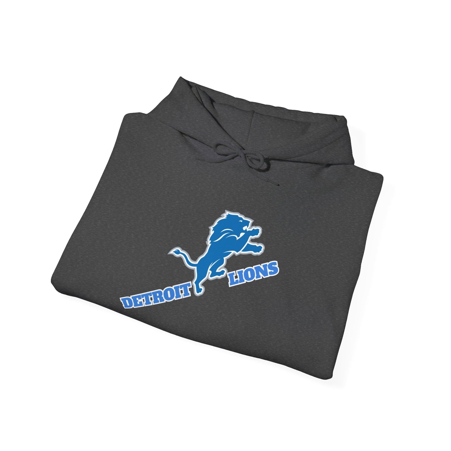 Detroit Lions Fan Hoodie Sweatshirt, NFL Team Apparel, Lions Football Gift,