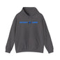 Detroit Lions Fan Hoodie, NFL Football Team Sweatshirt, Team Spirit Apparel,