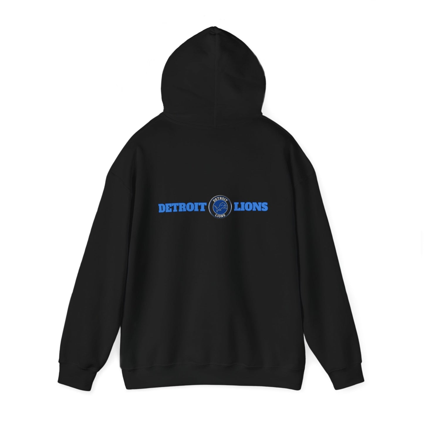 Detroit Lions Fan Art Hoodie Pullover, Football Team Sweatshirt, Lions Apparel