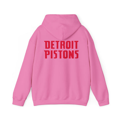 Detroit Pistons Logo Hoodie, NBA Sweatshirt, Basketball Team Apparel, Fan Gift,